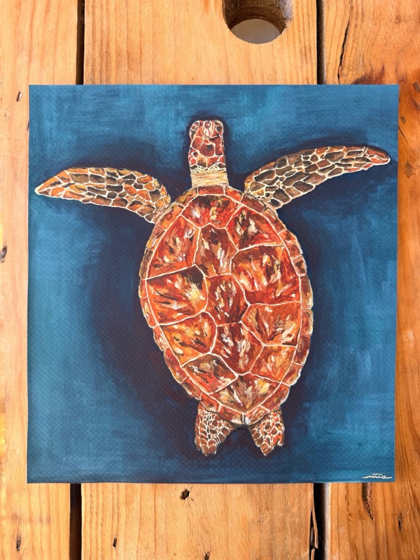 Tortuga 4